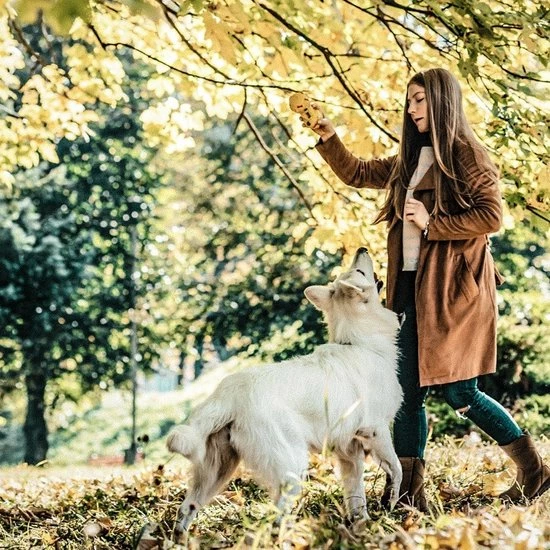 Grisport Sutherland Outdoorlaarzen Unisex - Chestnut - Maat 42 4 Grisport Sutherland Outdoorlaarzen Unisex - Chestnut - Maat 42 - Afbeelding 2