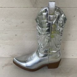 Weloveshoes SmileFavorites® Dames Cowboylaarzen Met Hak - Imitatieleer - Zilver - Maat 39
